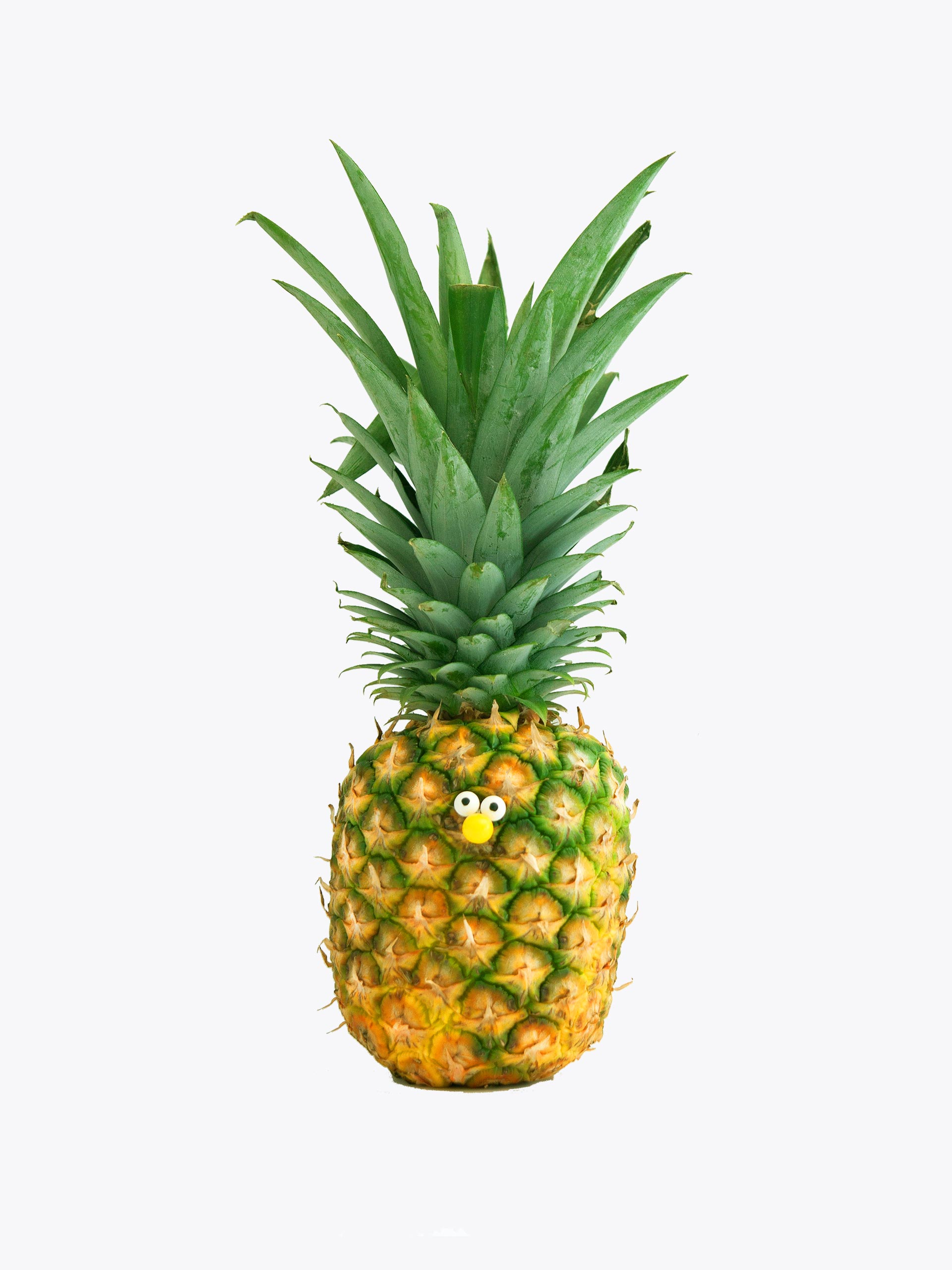 Platzhalter alt-Text