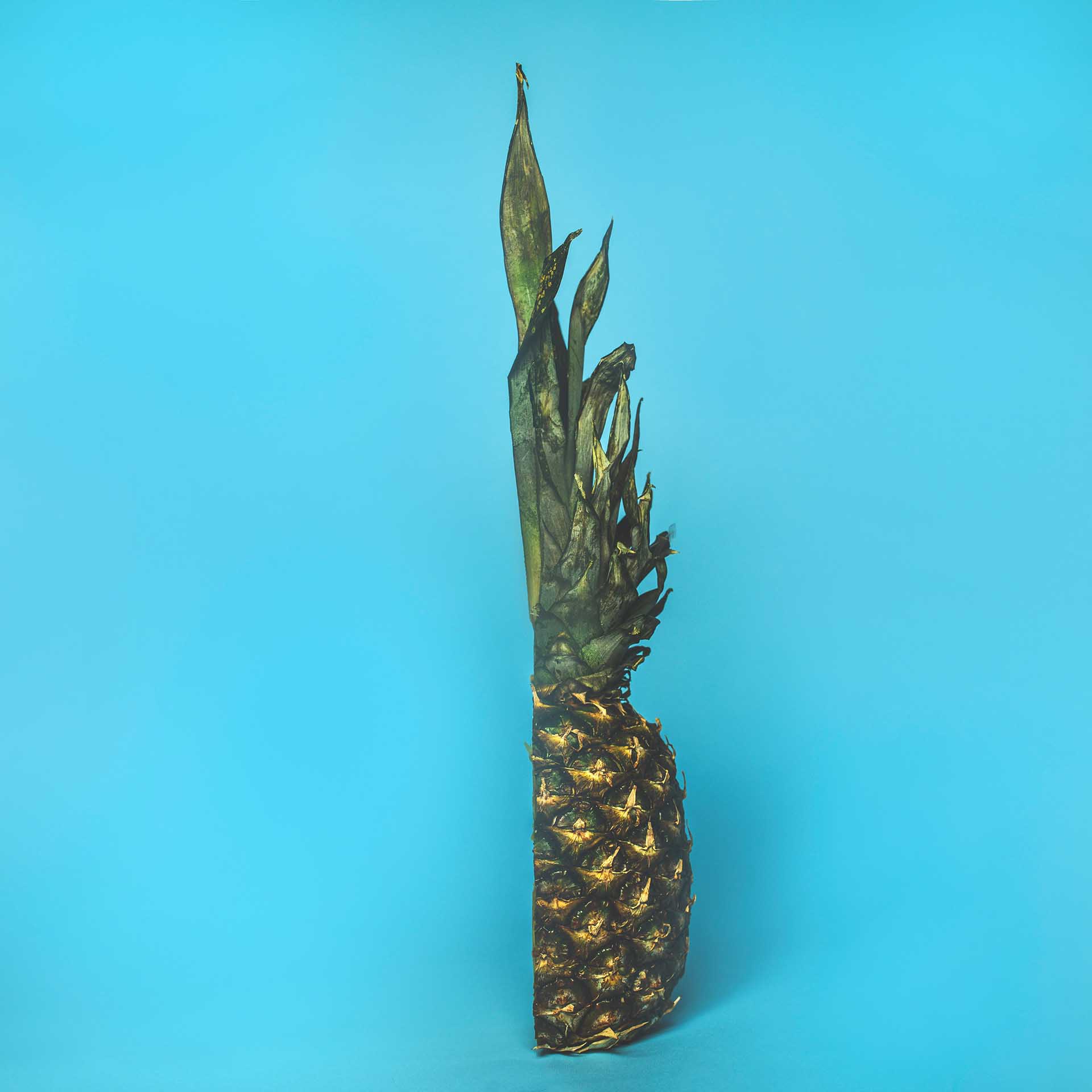 Platzhalter alt-Text