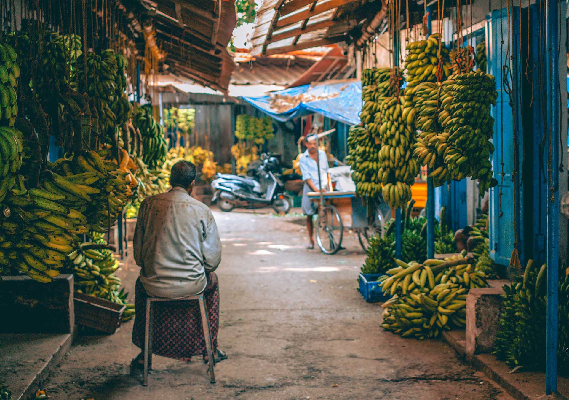 Platzhalter alt-Text